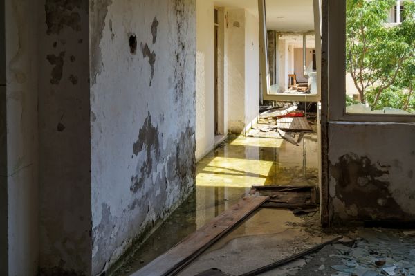 Cost of Water Removal Service in Doylestown