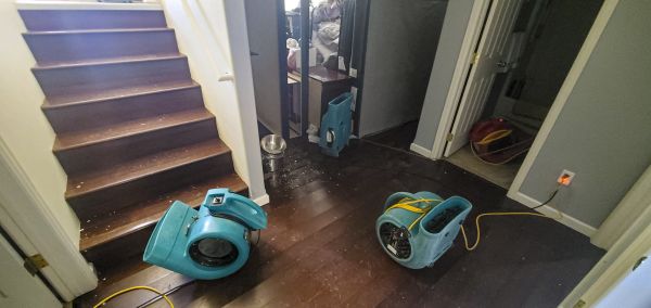 Cost of Water Damage Remediation in Doylestown